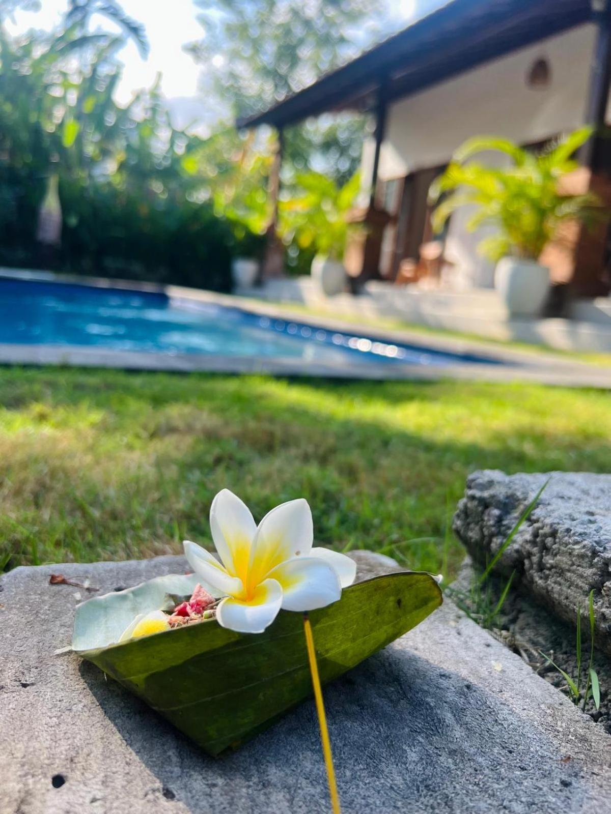 Wiryaroja Guest House Canggu  Exterior photo